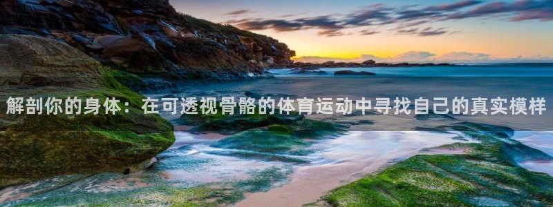 6t体育网页版：解剖你的身体：在可透视骨骼的体育运动中寻找自己的真实模样