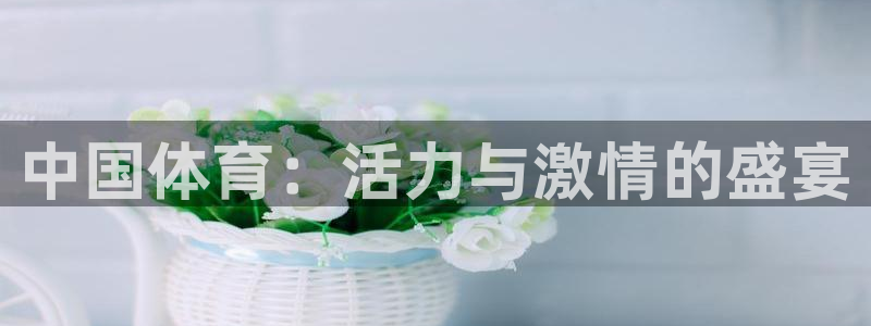 6t体育下载地址：中国体育：活力与激情的盛宴