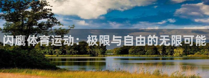 6T体育官网下载：闪鹰体育运动：极限与自由的无限可能