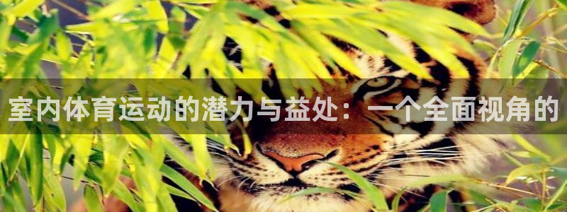 6t体育旧版：室内体育运动的潜力与益处：一个全面视角的